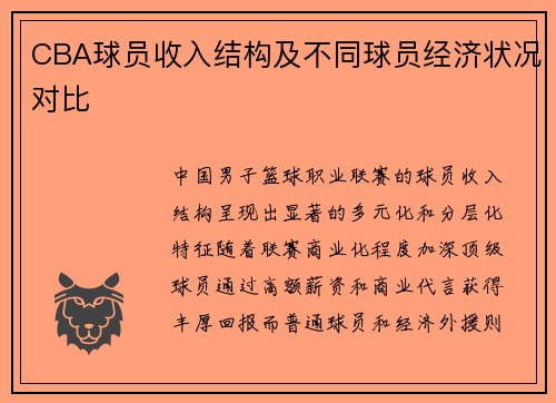 CBA球员收入结构及不同球员经济状况对比